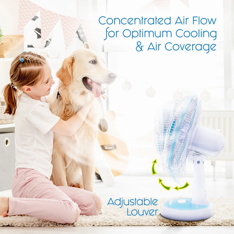 12" Desk Fan  Powerful 5-Blade Design, High-Velocity Airflow, PPTF303