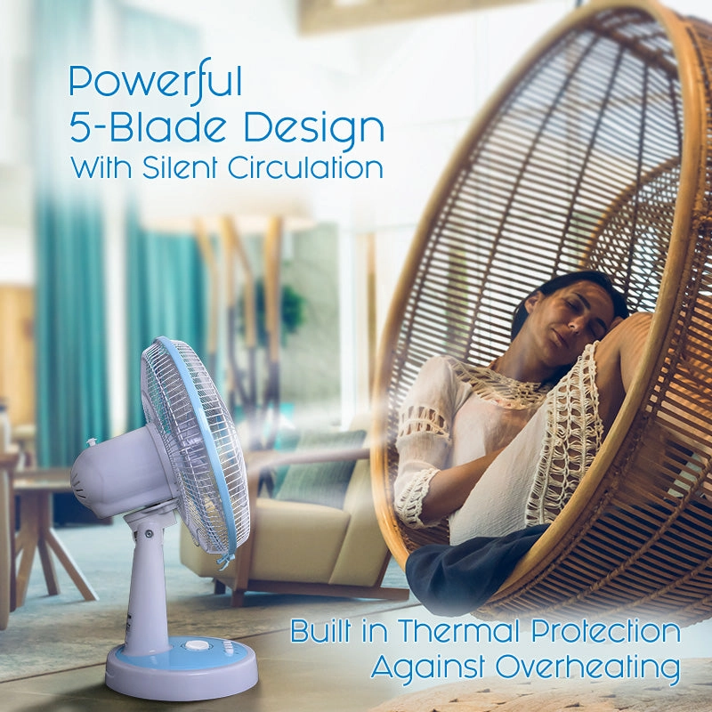 12" Desk Fan  Powerful 5-Blade Design, High-Velocity Airflow, PPTF303