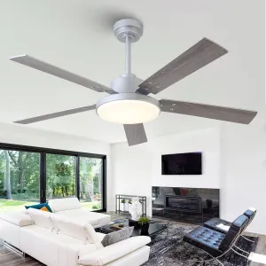 52 Inch Ceiling Fan with Light and Remote/APP, Indoor Outdoor Smart Silver Ceiling Fan, Dual-Sided Blades Modern Ceiling Fans with Lights for Bedroom Living Room Patio, 3CCT, 6 Speeds Quiet Fan with safety blade design