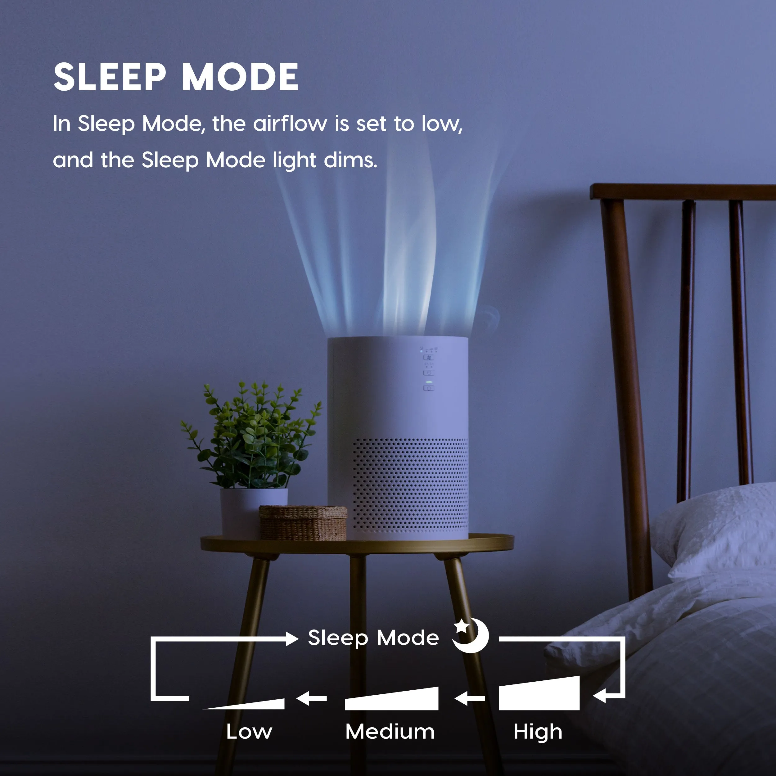 Air Purifier For Medium Rooms w/ HEPA Filter