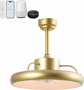 AIR8002A Loren 20" Modern Contemporary 6-Speed Metal Mobile-App/Remote-Controlled Dimmable Smart Integrated LED Ceiling Fan, Gold Painting for Living Room, Bedroom, Office App-controlled remote fan for convenience