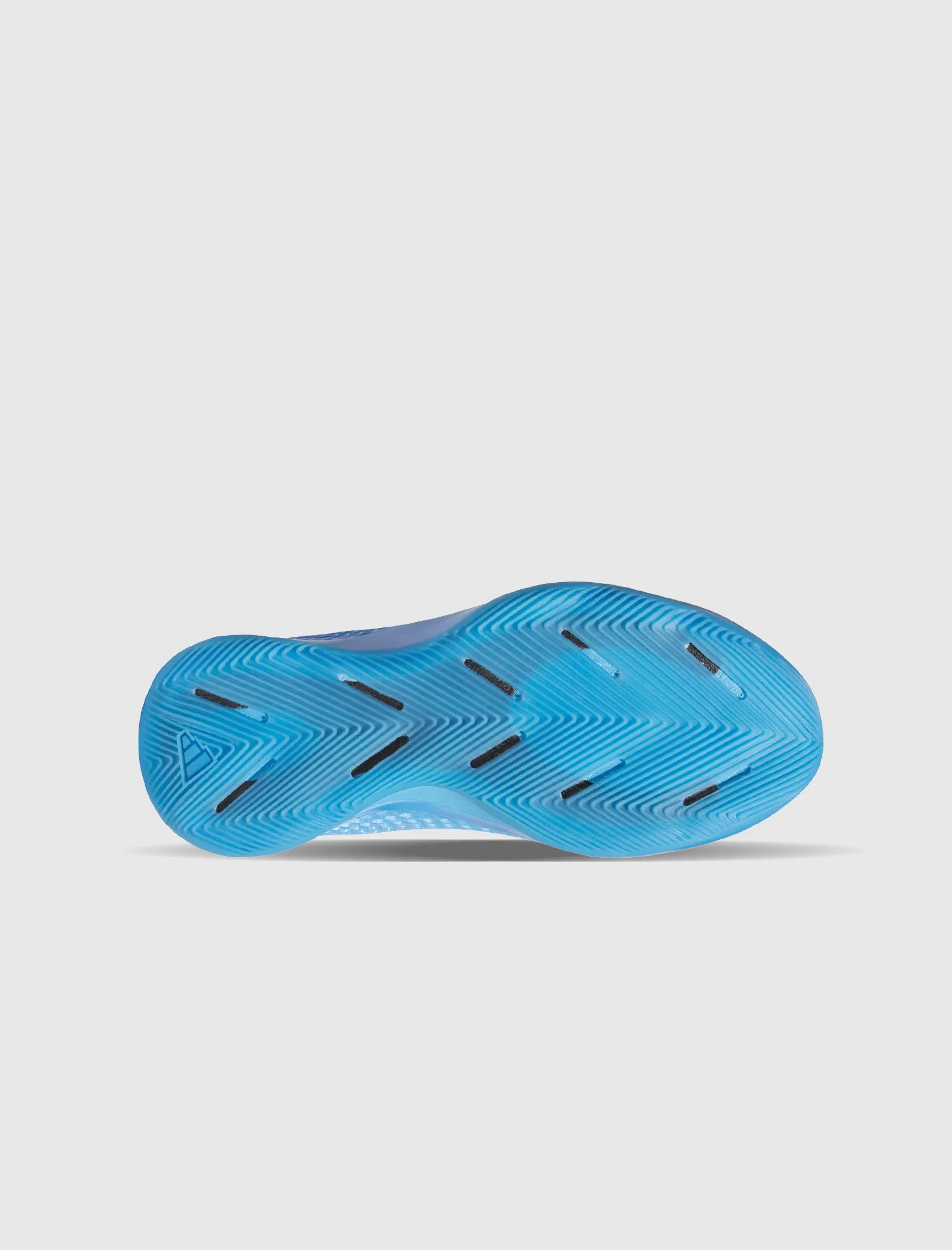 ANTHONY EDWARDS 1 LOW "BLUE BURST" Shoes	ADIDAS