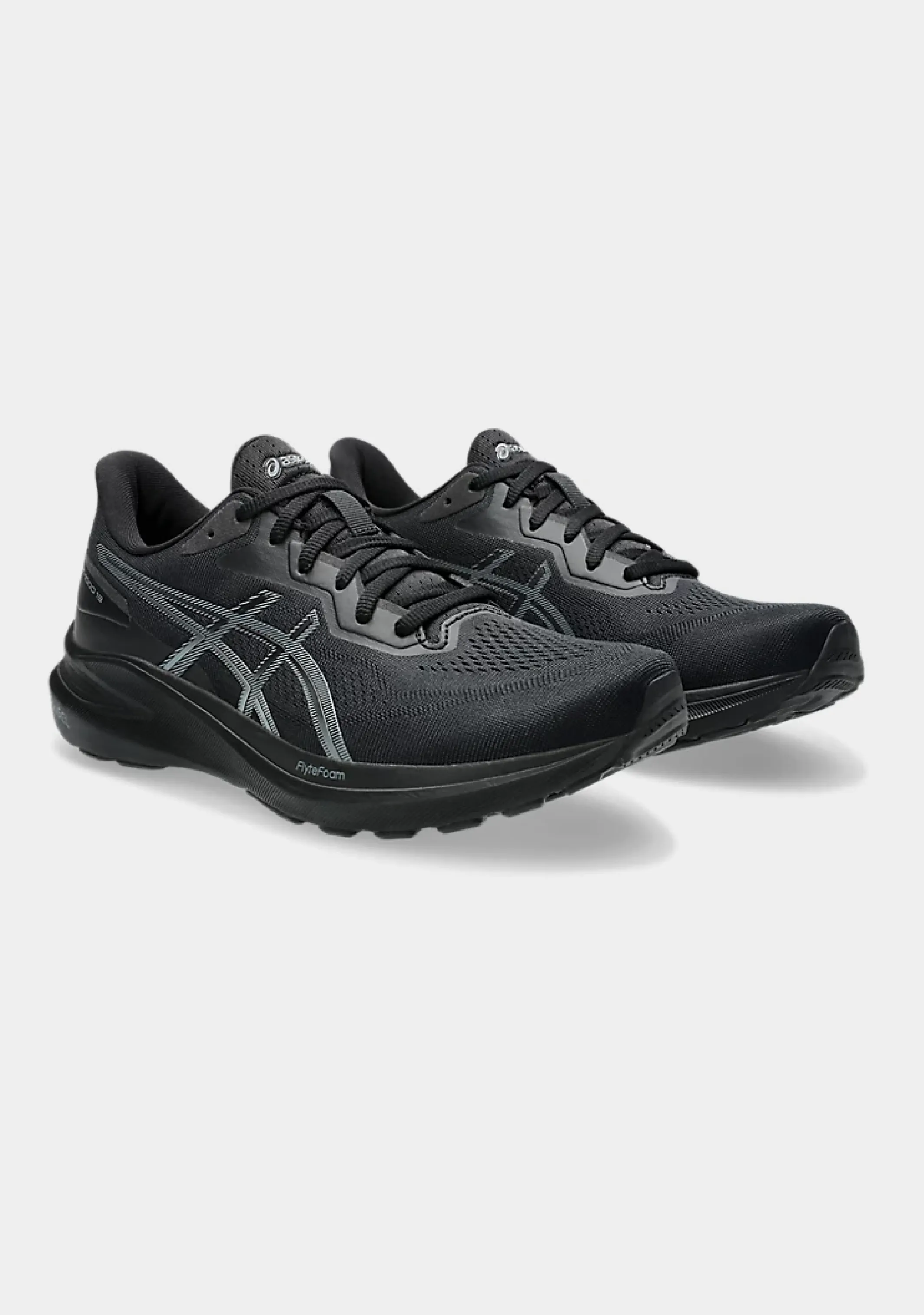 Asics Men's GT-1000 13 (4E Width) Asics Shoes