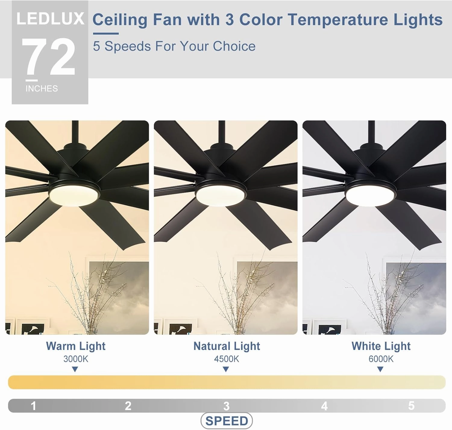Black Ceiling Fan for Outdoor: 72 Inch Ceiling Fan with Remote 8 Blades 5-Speed Reversible DC Motor - Large Ceiling Fans for Indoor Living Room Farmhouse