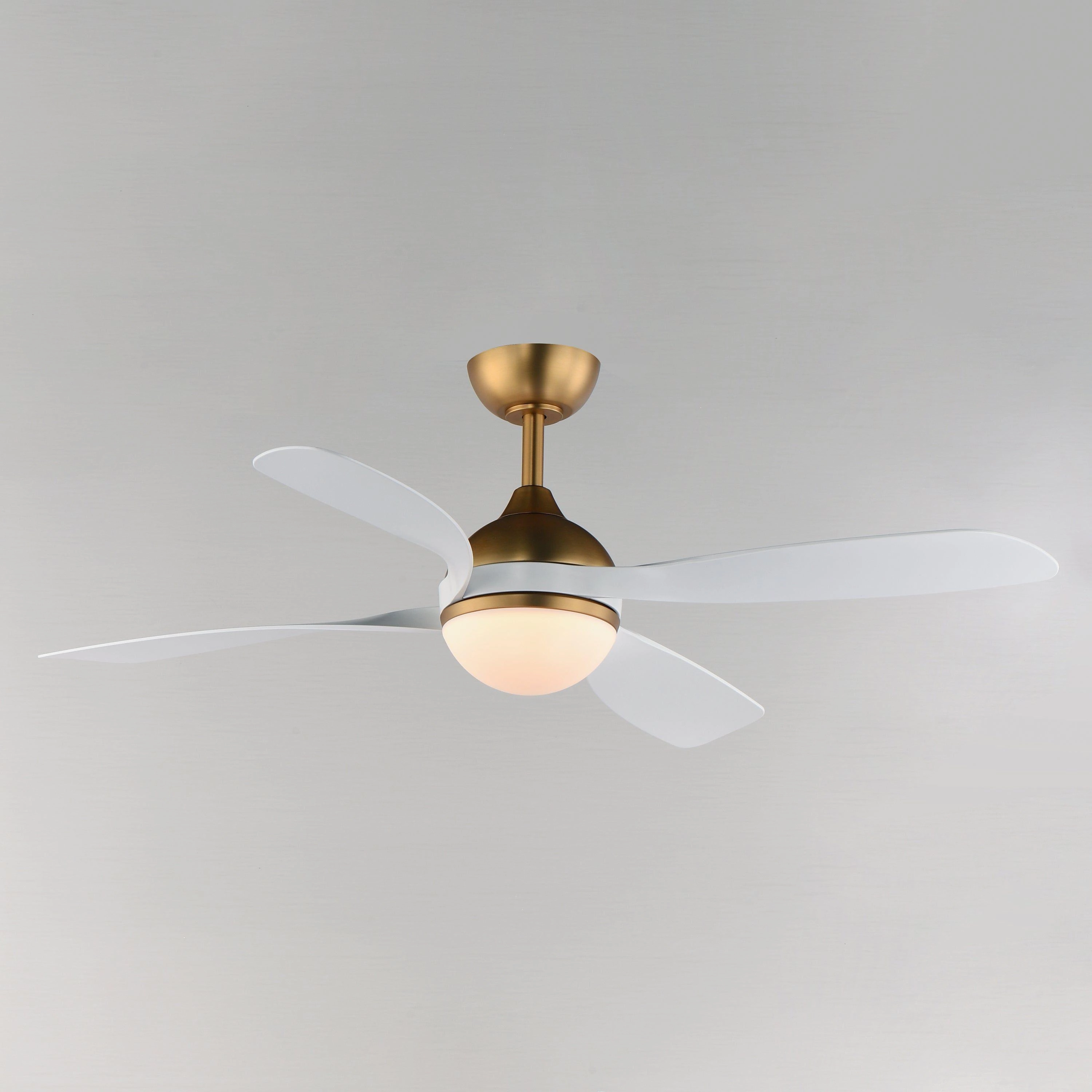 Bola 52" Indoor Fan with LED Light Kit