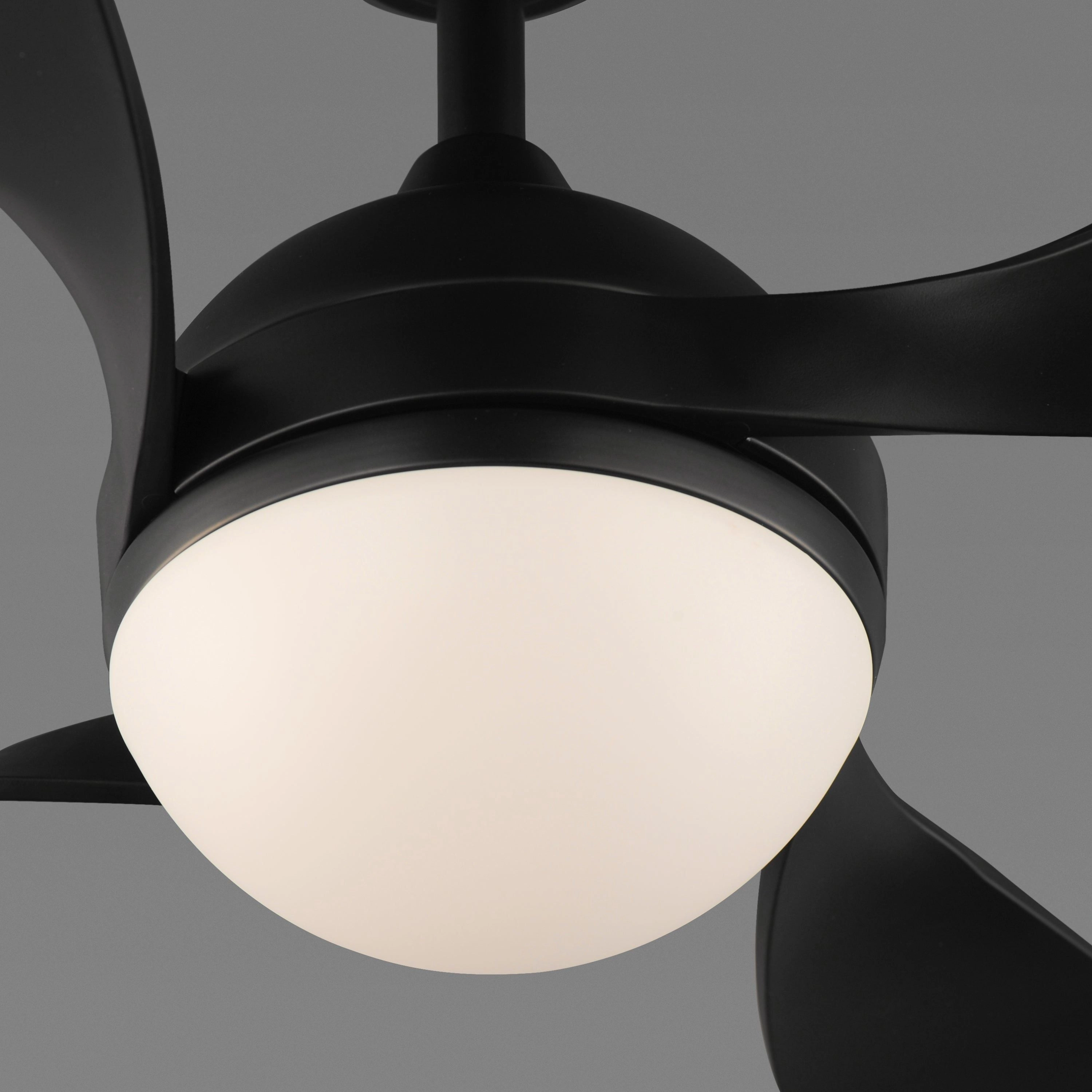 Bola 52" Indoor Fan with LED Light Kit