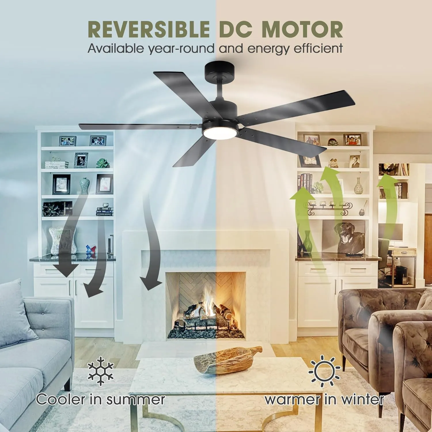 Ceiling Fans with Lights and Remote 52 Inch Modern Ceiling Fan with 6 Speeds, Dimmable LED, Reversible Noiseless DC Motor, Two-Color Blades, Cooling Fan for Bedroom, Living Room, Dining Room