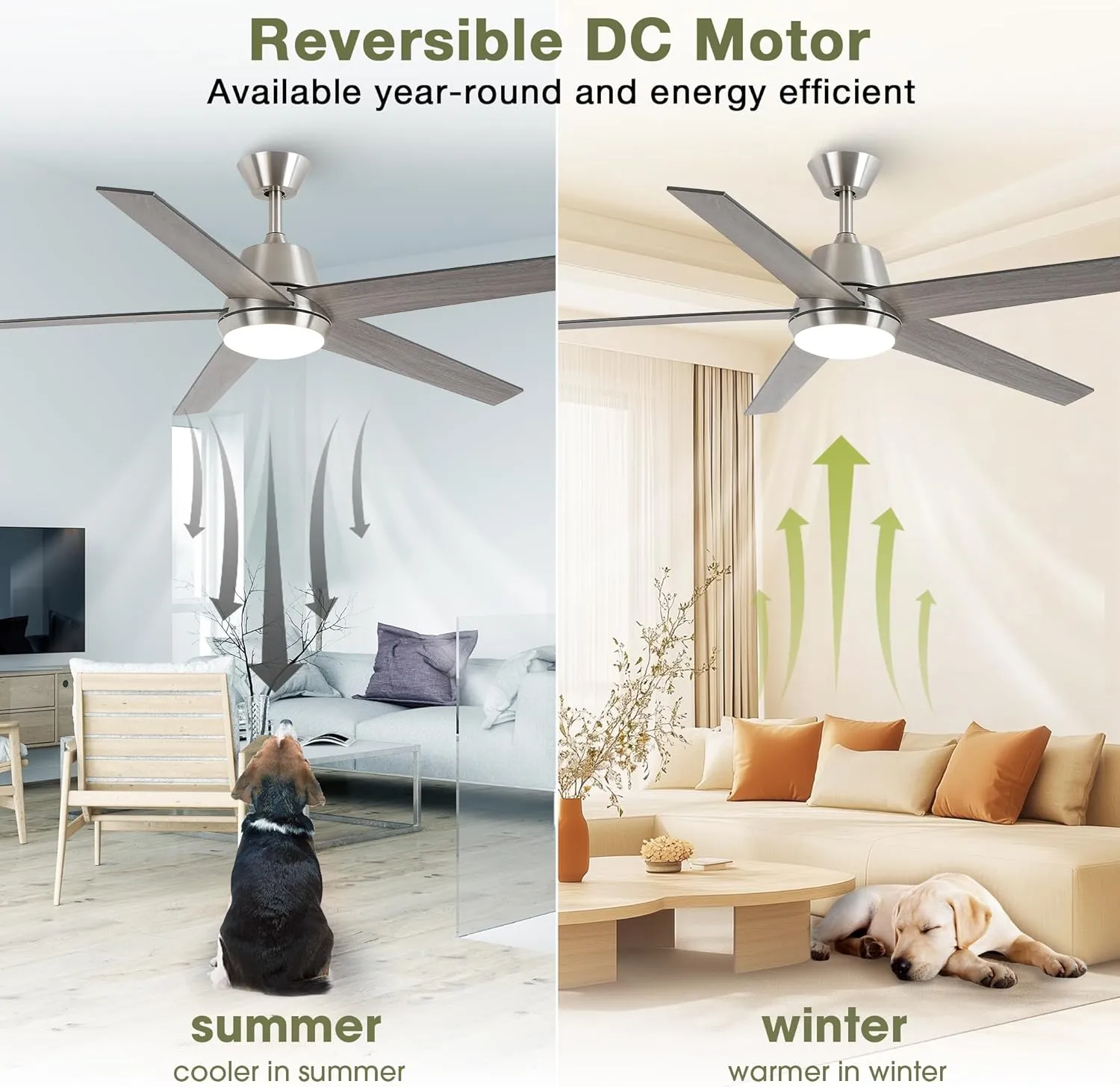 Ceiling Fans with Lights and Remote 52 Inch Modern Ceiling Fan with 6 Speeds, Dimmable LED, Reversible Noiseless DC Motor, Two-Color Blades, Cooling Fan for Bedroom, Living Room, Dining Room
