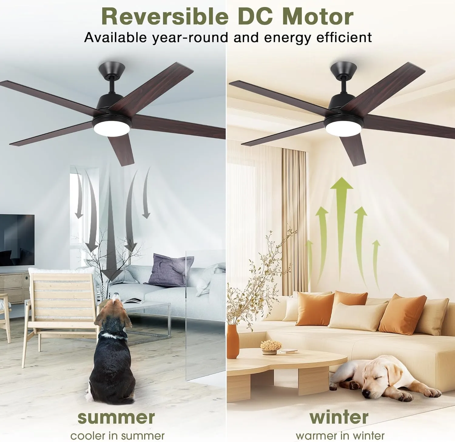 Ceiling Fans with Lights and Remote 52 Inch Modern Ceiling Fan with Quiet Reversible DC Motor Timer Black Ceiling Fan for Bedroom Living Room Dining Room
