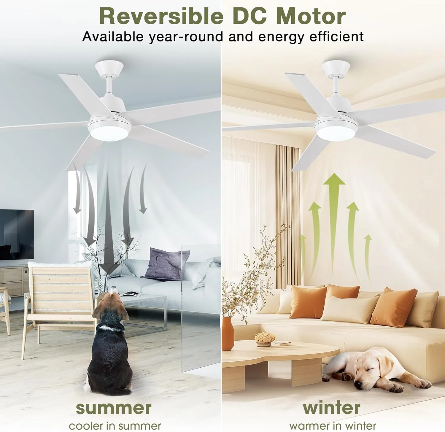 Ceiling Fans with Lights and Remote - 52 Inch Modern Cooling Fan with Noiseless Reversible DC Motor Timer White Ceiling Fan for Bedroom Living Room Dining room