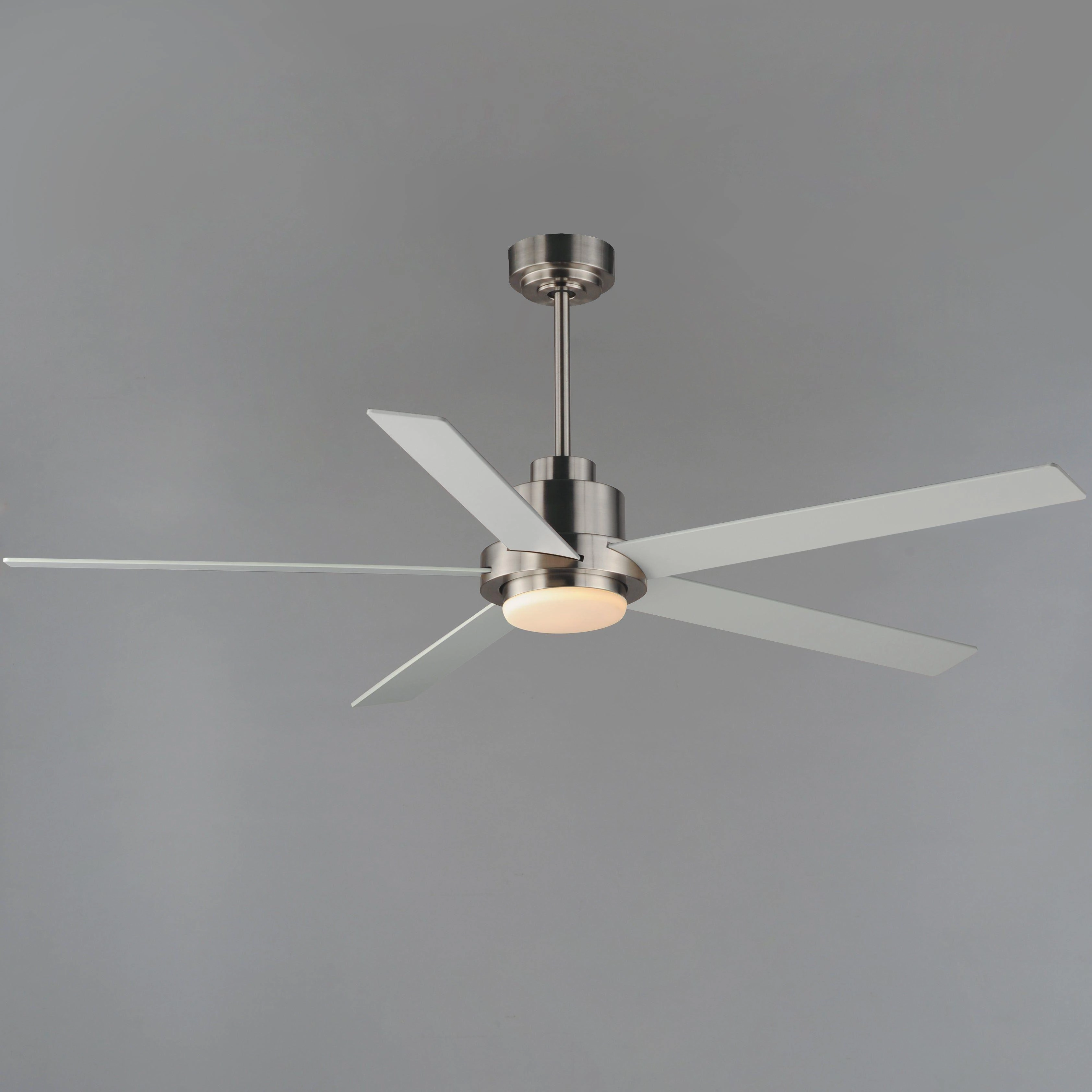 Daisy 60" 5-Blade Fan with LED Light Kit