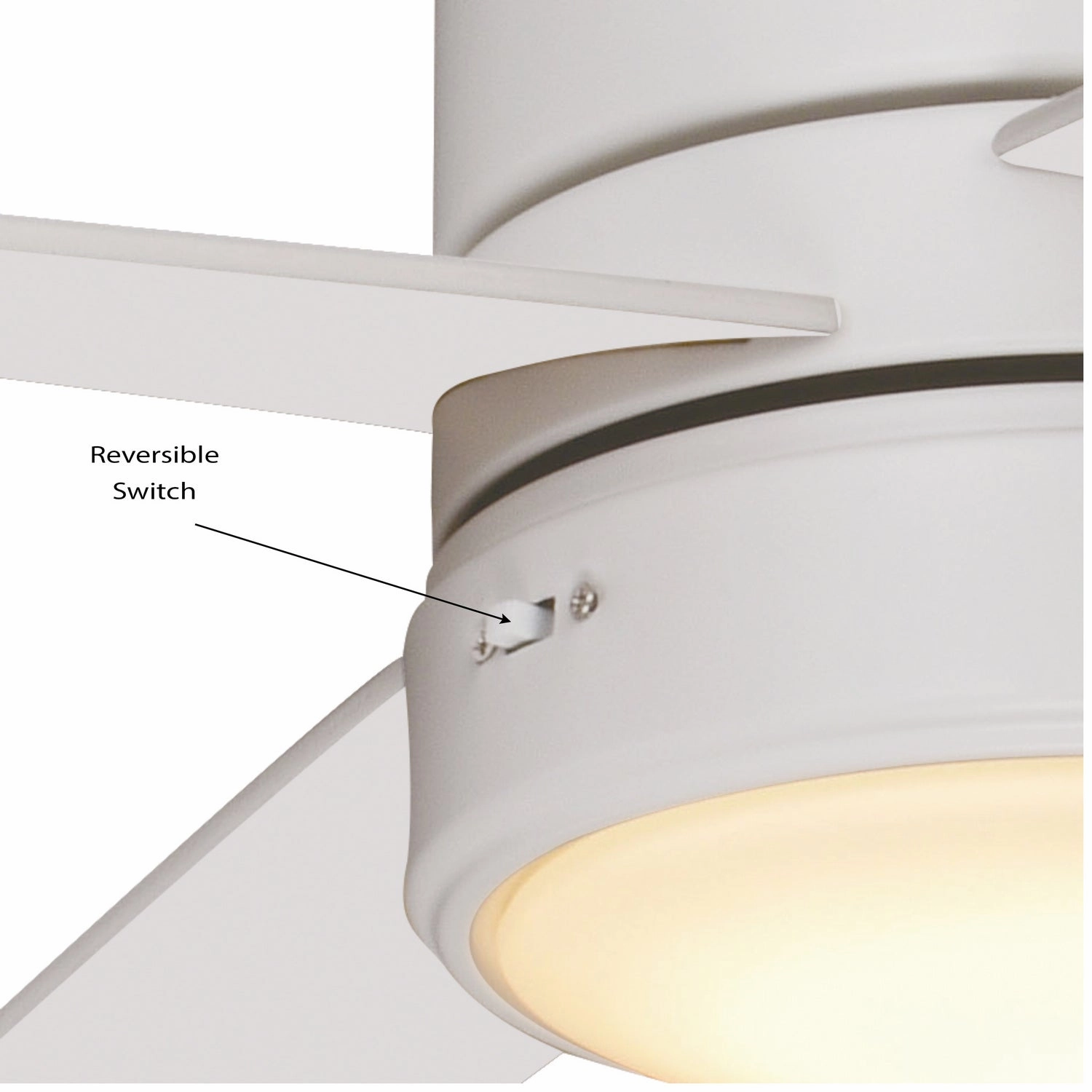 Erie 52"Ceiling Fan Matte White