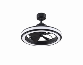 Fanimation 16" Gleam Indoor/Outdoor Fandelier Ceiling Fan with 20W LED Light and Remote Control chandelier ceiling fans for elegant decor