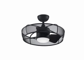 Fanimation Henry 20" Fandelier with 18W LED Light and Remote Control chandelier ceiling fans for elegant decor