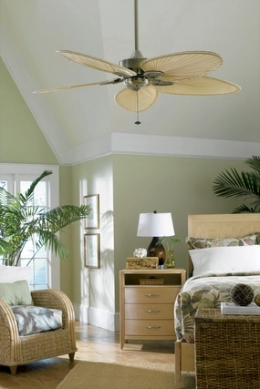 Fanimation Windpointe 52" Indoor/Outdoor Pull Chain Ceiling Fan Ceiling fan with adjustable speed settings