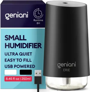 GENIANI Portable Small Cool Mist Humidifiers - Desktop Humidifier for Plants, Office, Car, Baby Room with Auto Shut Off & Night Light (White, 0.25L, USB) Desktop fan with humidification feature