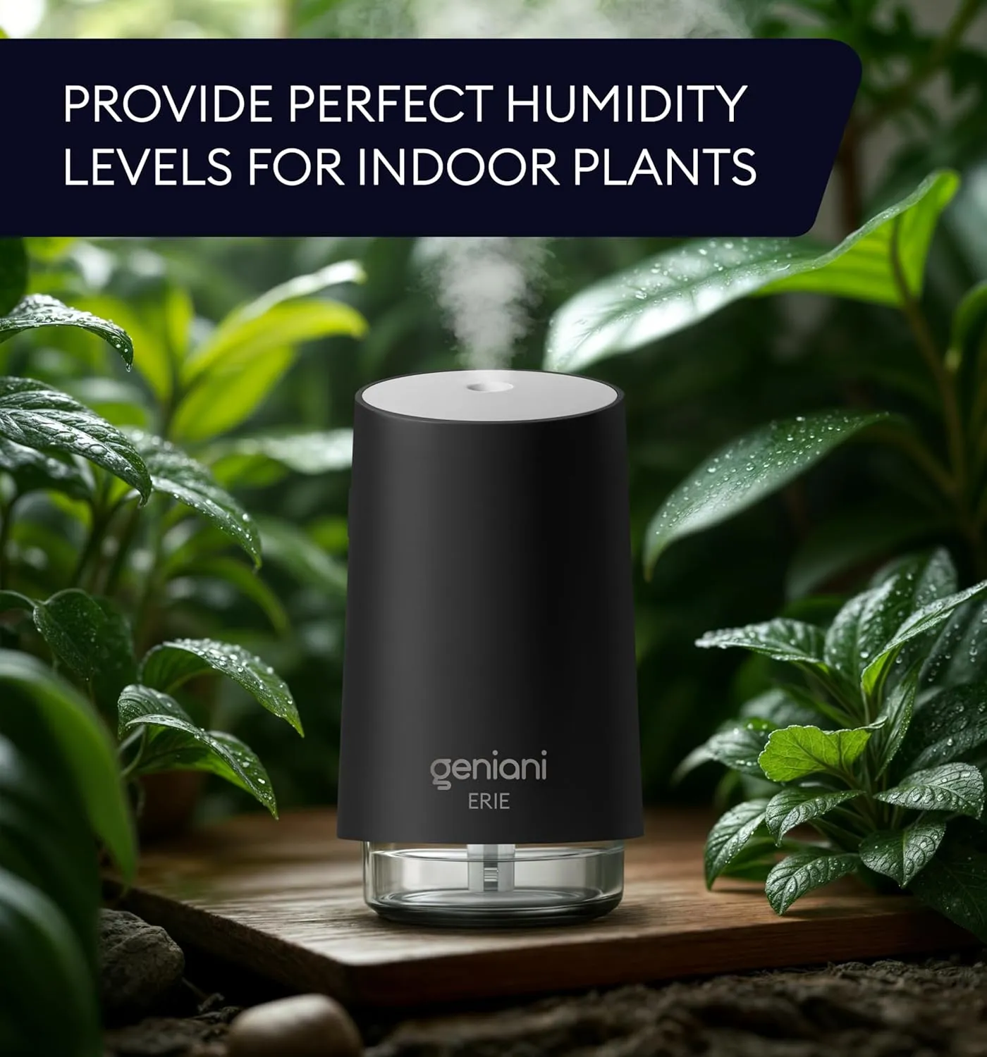 GENIANI Portable Small Cool Mist Humidifiers - Desktop Humidifier for Plants, Office, Car, Baby Room with Auto Shut Off & Night Light (White, 0.25L, USB)