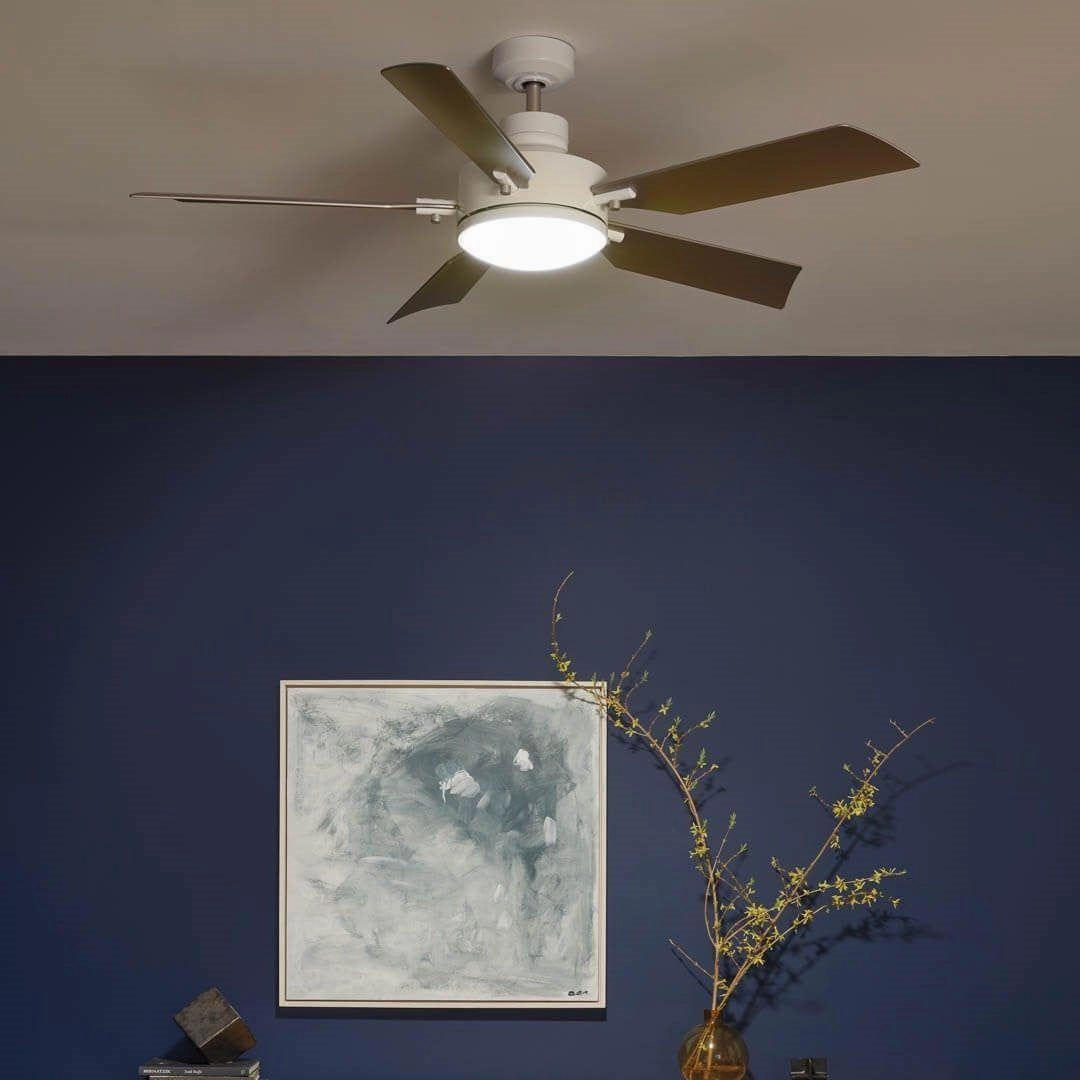 Guardian 56" Ceiling Fan