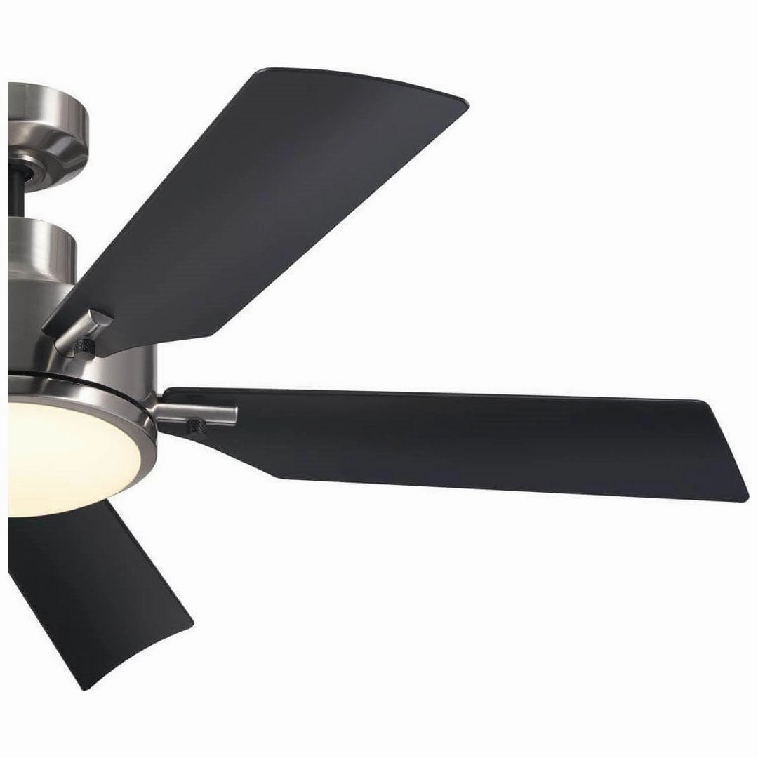 Guardian 56" Ceiling Fan