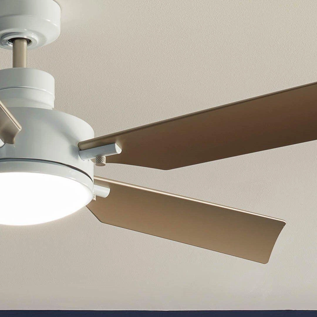 Guardian 56" Ceiling Fan