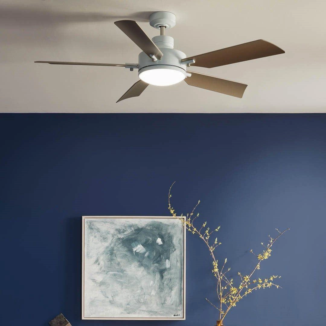 Guardian 56" Ceiling Fan
