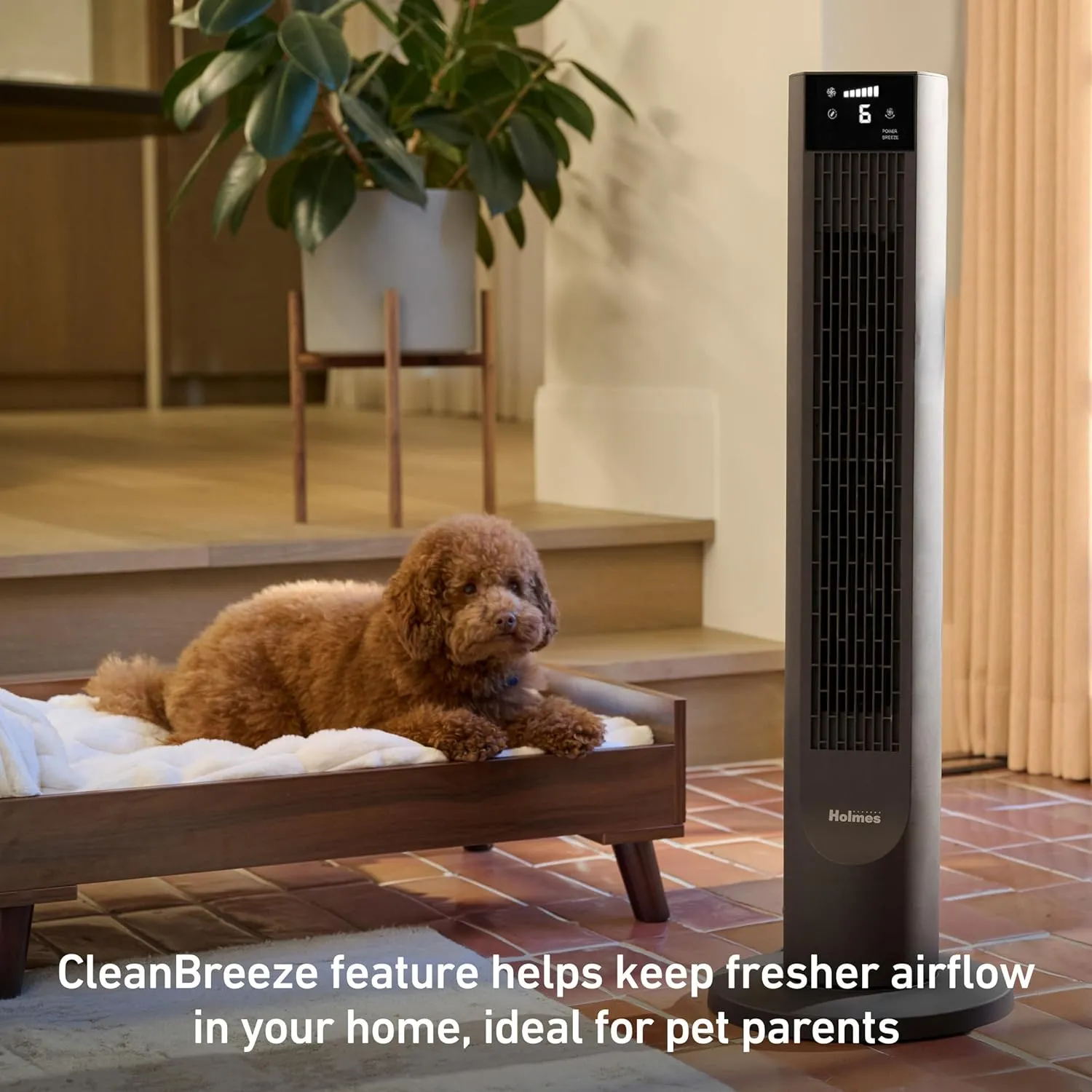 Holmes 36" CleanBreeze Digital Tower Fan with Removable Blade, ClearRead Display, 75 Oscillation, 6 Speeds, 4 Modes, 12-Hour Timer, Home, Bedroom or Office, Remote Control, Matte Black