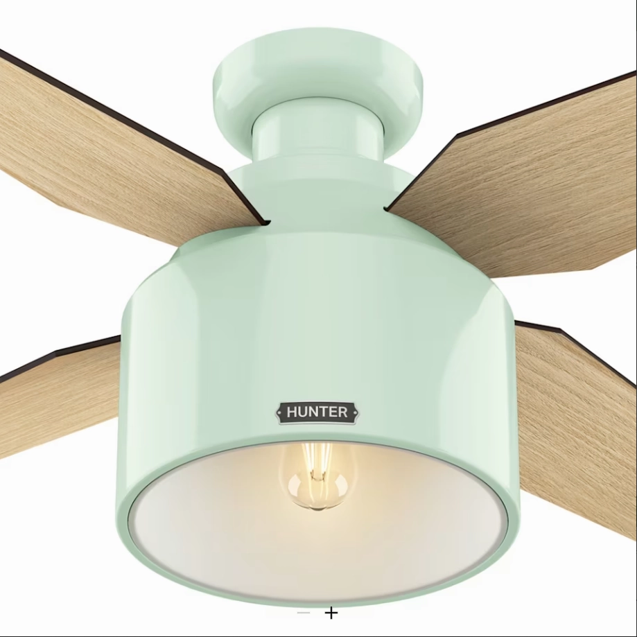 Hunter Fan Cranbrook 52" Mid Century Modern Flushmount Ceiling Fan with 5W LED and Remote