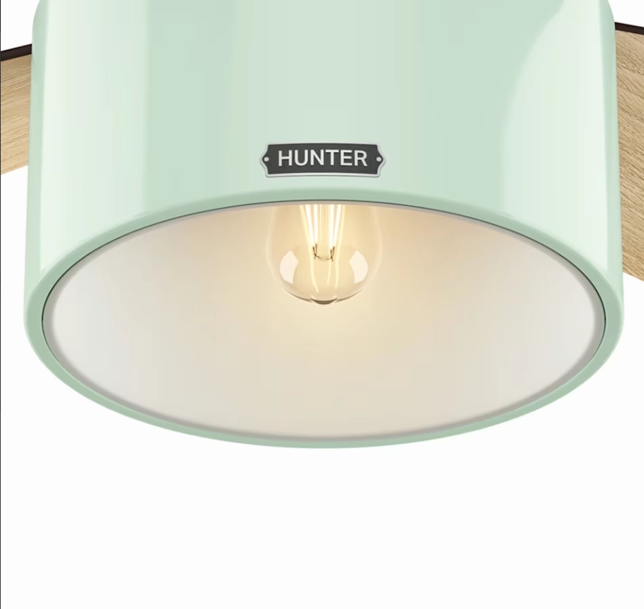 Hunter Fan Cranbrook 52" Mid Century Modern Flushmount Ceiling Fan with 5W LED and Remote