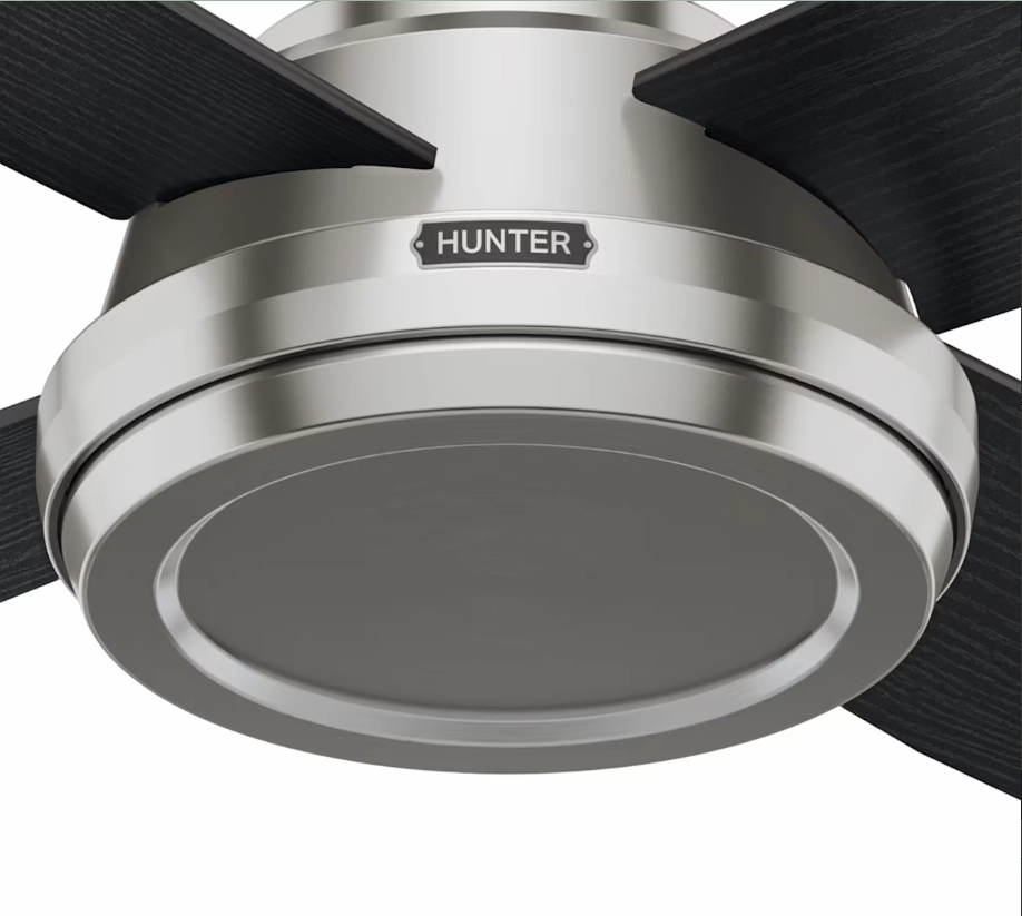 Hunter Fan Dempsey 52" Flushmount Ceiling Fan with Remote