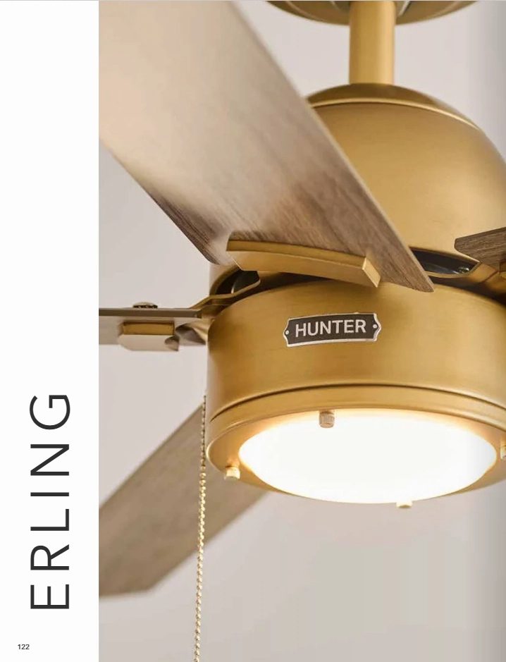 Hunter Fan Erling Pull Chain Ceiling Fan with 18W LED