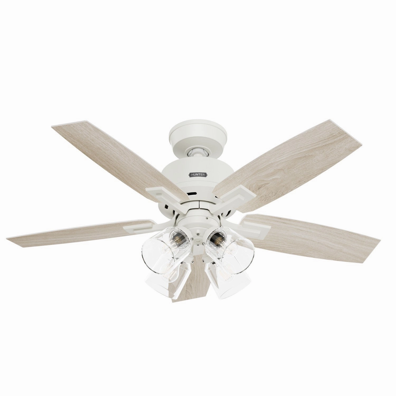 Hunter Fan Gatlinburg Indoor Ceiling Fan with 19W LED with Remote