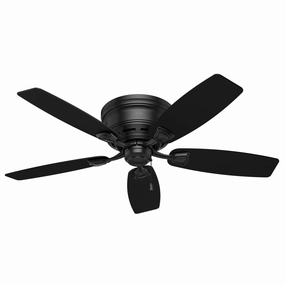 Hunter Fan Sea Wind 48" Outdoor Flushmount Pull Chain Ceiling Fan Energy-efficient ceiling fan with remote