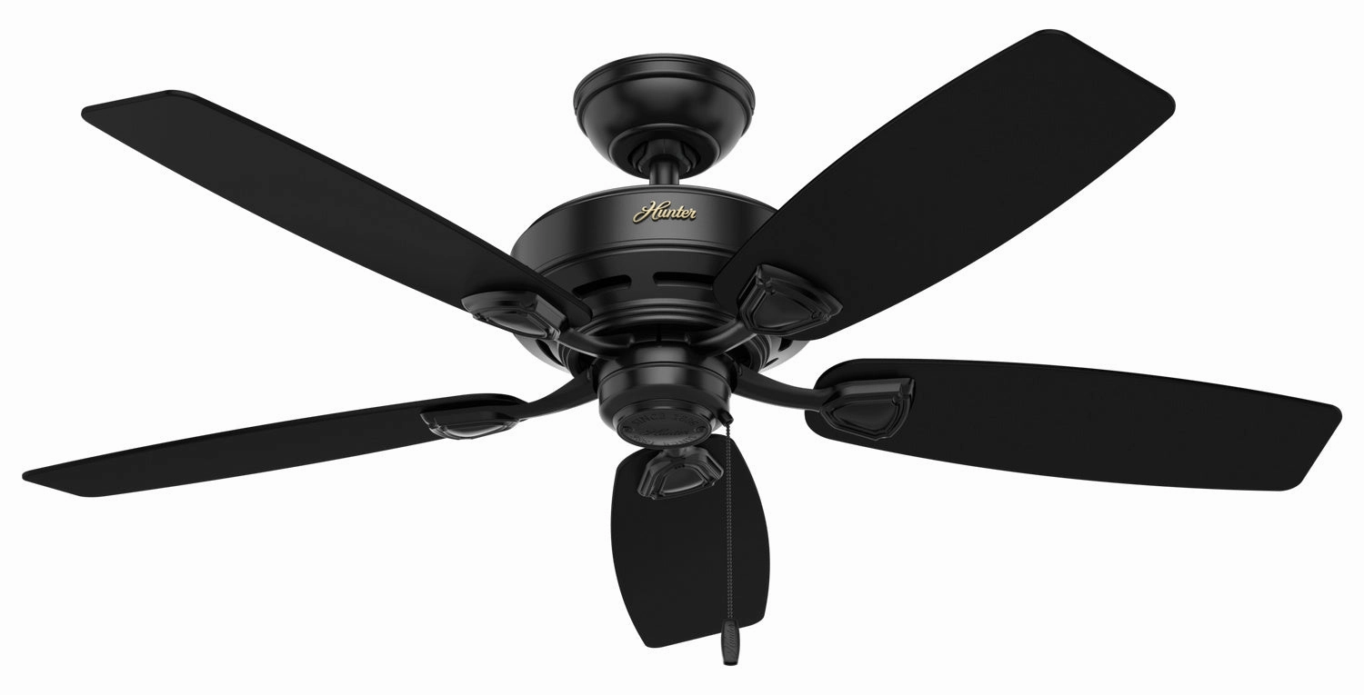 Hunter Fan Sea Wind 48" Outdoor Pull Chain Ceiling Fan whisper-quiet fans for indoor comfort