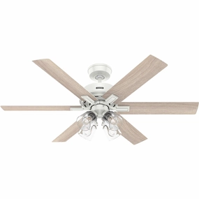 Hunter Fonthill | Ceiling Fan with 4.50W A15 & Handheld Remote adjustable indoor fans for cool airflow