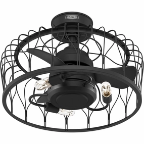 Hunter Rotonda | Ceiling Fan with 3.50W T12 Edison & Handheld Remote chandelier ceiling fans for elegant decor