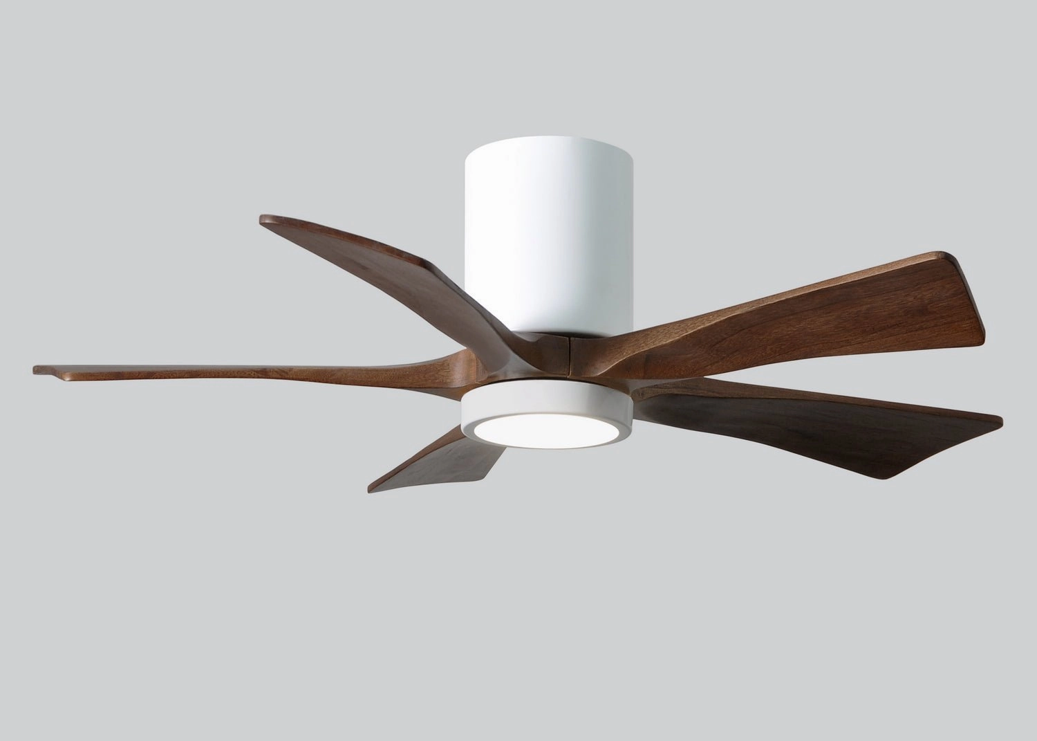 Irene-5HLK 42"Ceiling Fan Gloss White