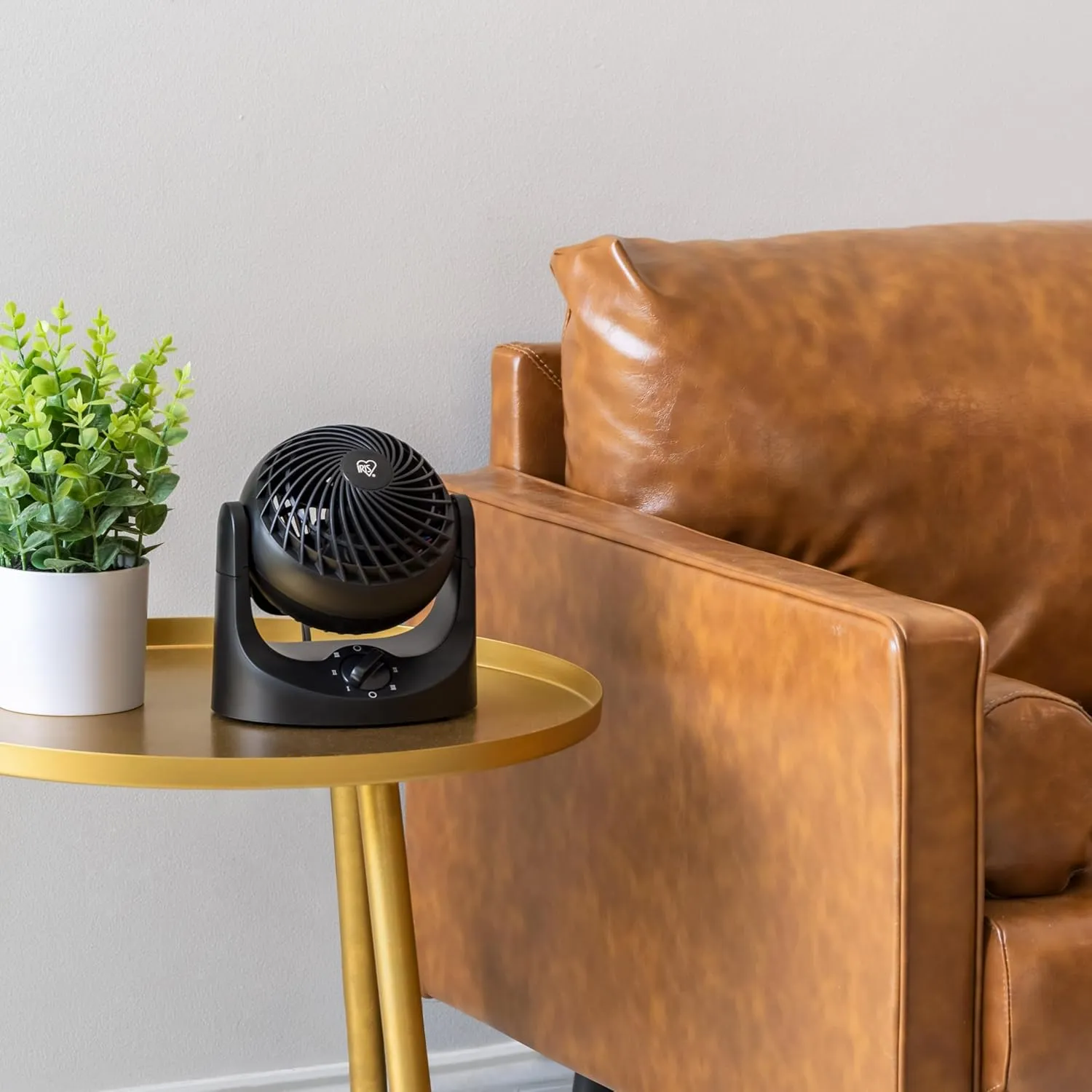 IRIS USA WOOZOO Desk Fan, Air Circulator, 3 Speeds, 32ft Max Air Distance, 112 Adjustable Tilt, 27.5db Quiet Motor, Small Fan for Bedroom, Office, Dorm, Black