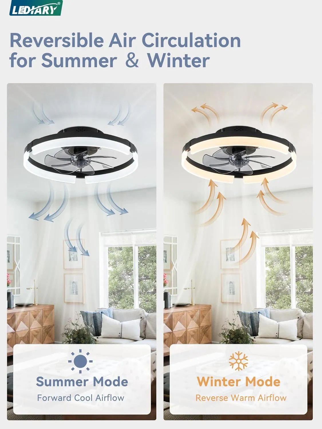 LEDIARY Ceiling Fans with Lights and Remote, 19.7 Inch Low Profile Ceiling Fan, 6 Speeds, Reversible, Dimmable Flush Mount Fan Light,Modern & Bladeless Ceiling Fan with Light for Bedroom, Black