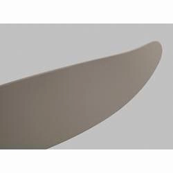 Lily Ceiling Fan