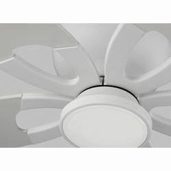 Lily Ceiling Fan