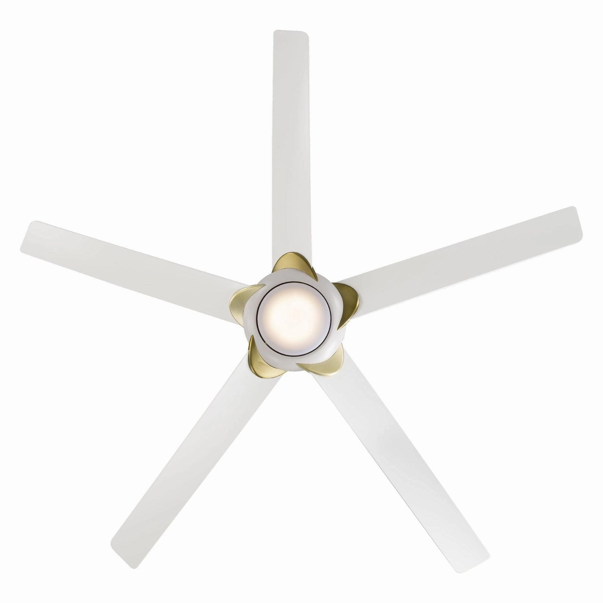 Lucid Indoor/Outdoor 5-Blade 62" Smart Ceiling Fan with LED Light Kit and Remote Control
