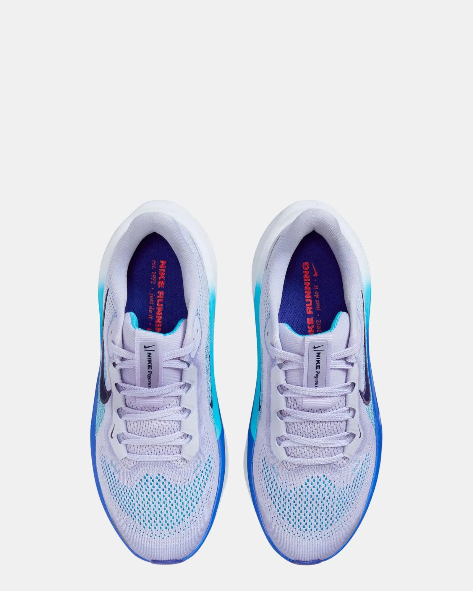 Nike Kids' Shoes Air Zoom Pegasus 41 Grade School Ghost/Blue Void/Football Grey