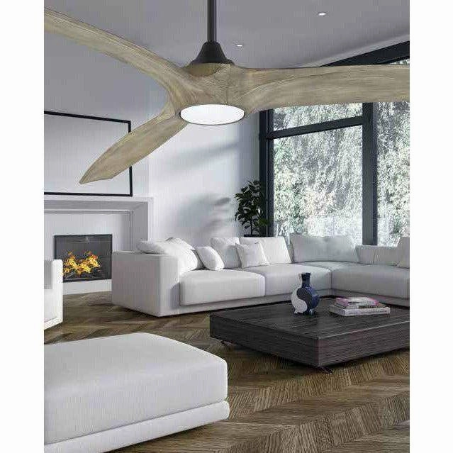 Paladin Ceiling Fan