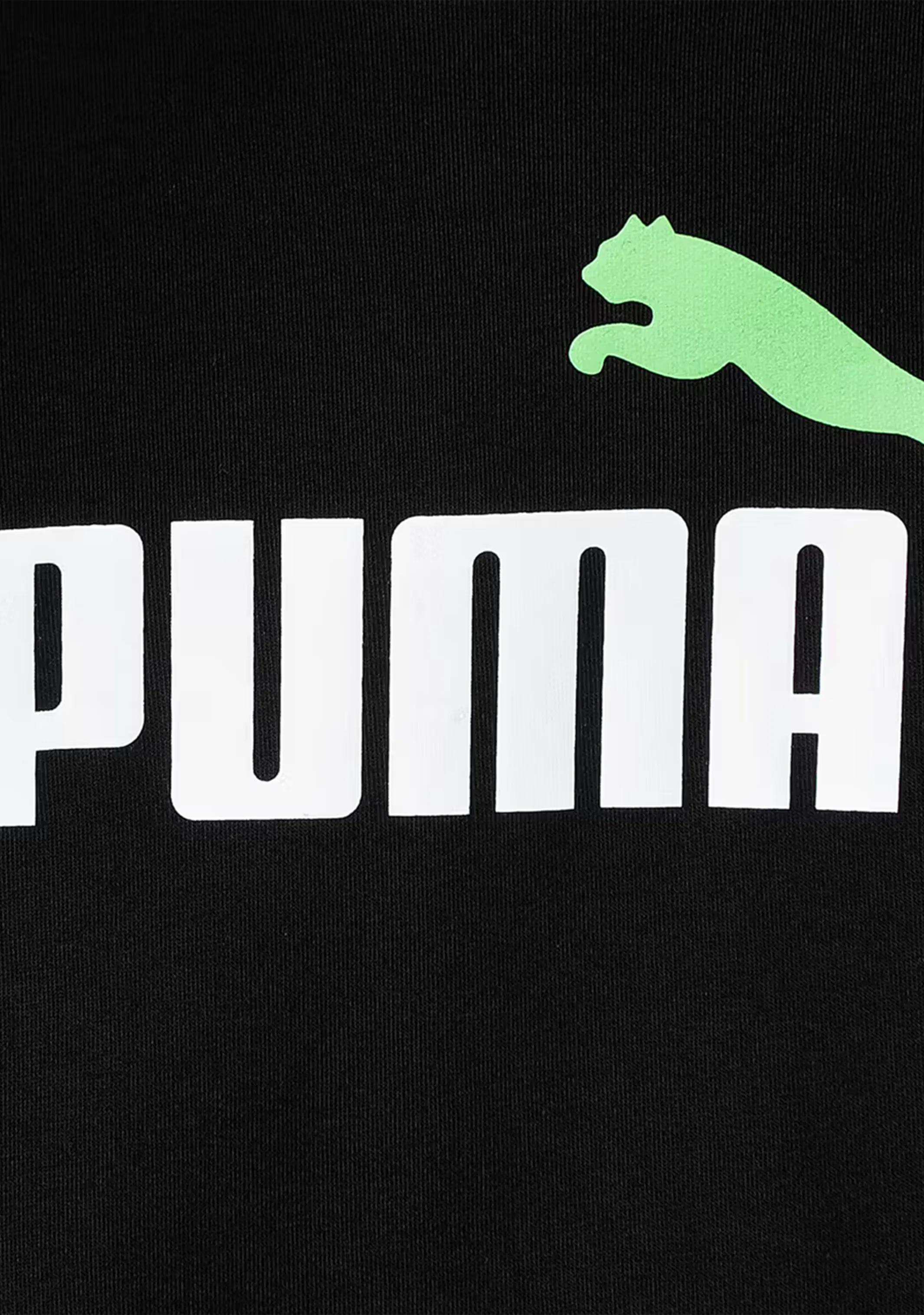 Puma Men's ESS  2 Colour Logo Crew Black/Green