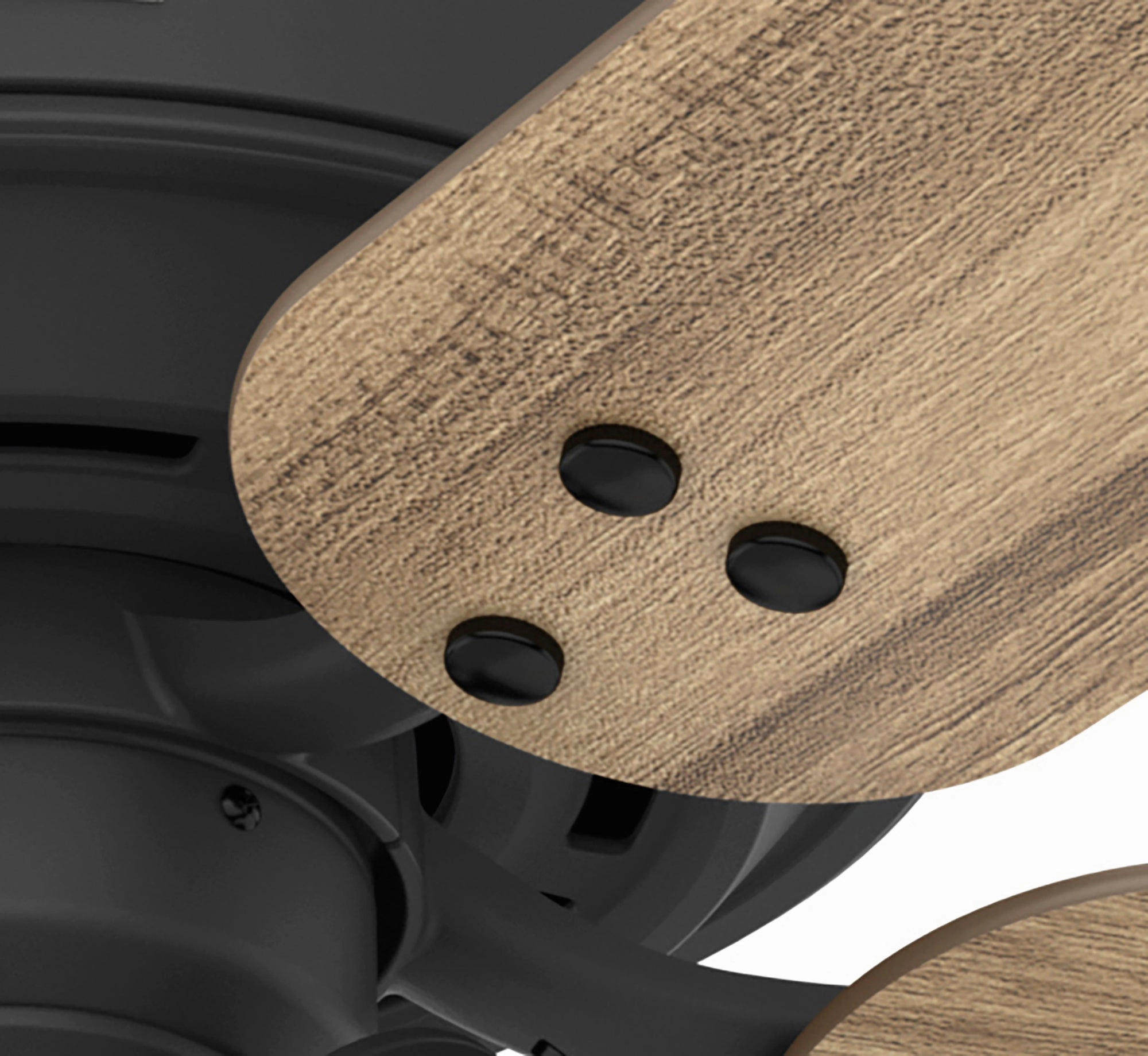 Shady Grove 52"Ceiling Fan Matte Black