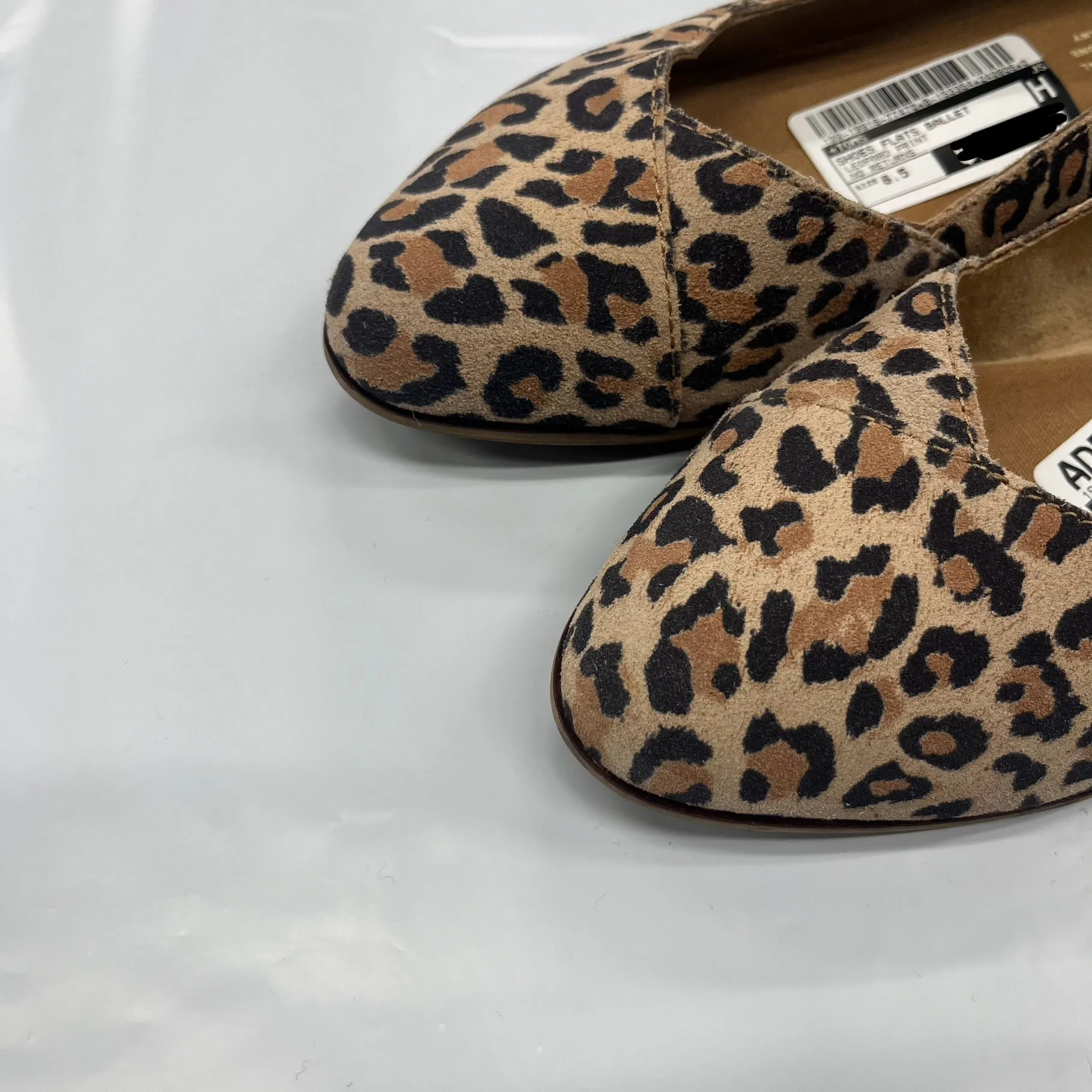 Shoes Flats Ballet By Toms In Leopard Print, Size: 8.5 toms