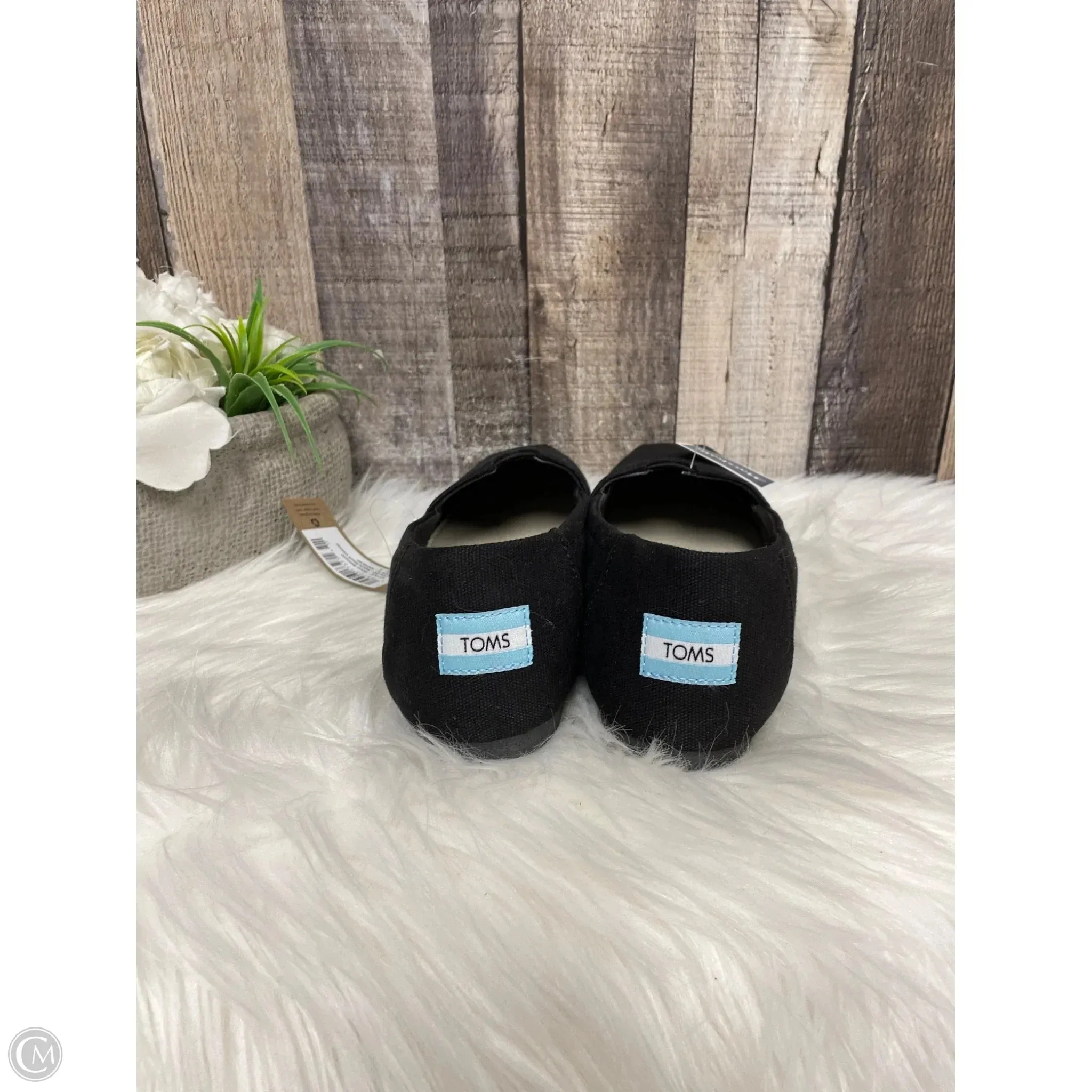 Shoes Flats By Toms In Black, Size: 8 toms