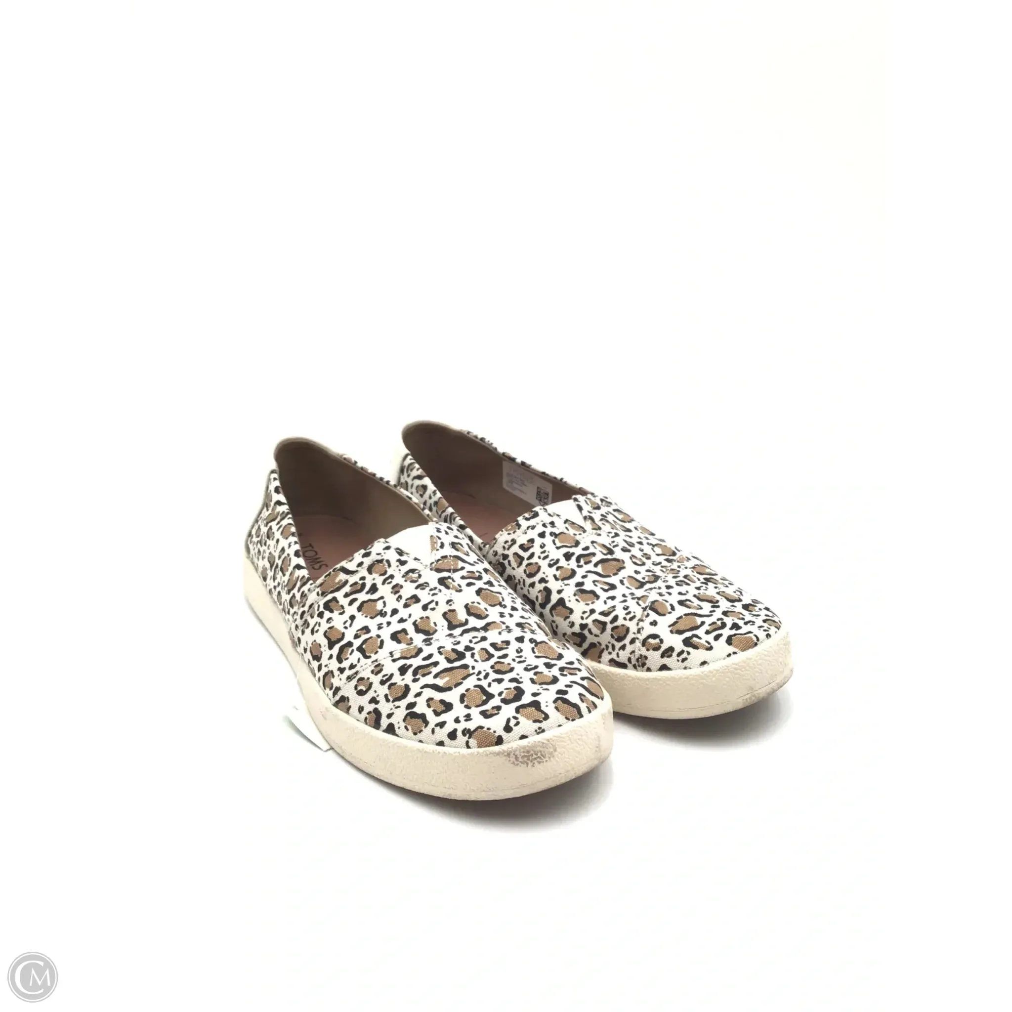 Shoes Flats By Toms In Leopard Print, Size: 7 toms
