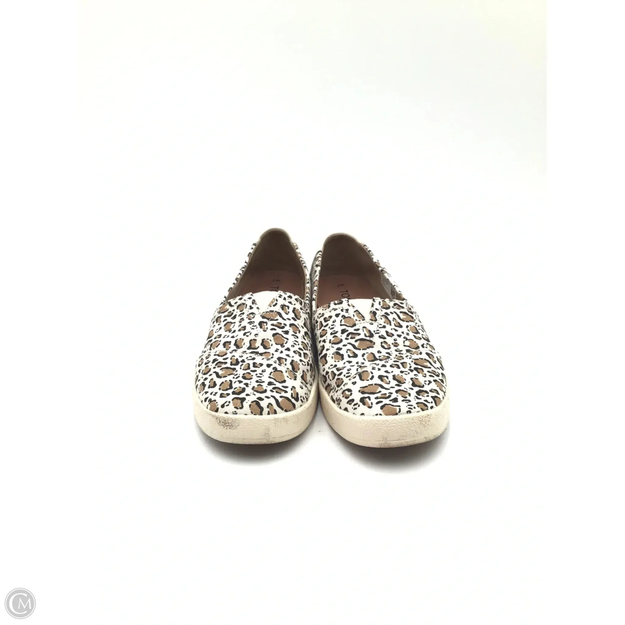 Shoes Flats By Toms In Leopard Print, Size: 7 toms