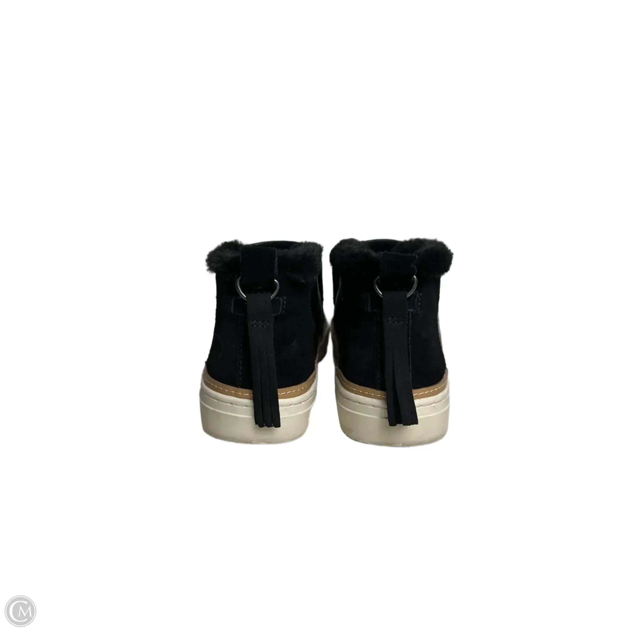 Shoes Sneakers By Toms In Black, Size: 8.5 toms